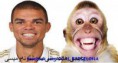 /album/jajaja/a488259-439201812797020-590762818-n-jpg/