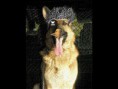 /album/jajaja/a523241-355264117891175-51877186-n-jpg/
