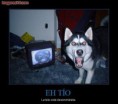 /album/jajaja/susto-terrorifico-jpg/