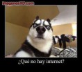 /album/jajaja/no-hay-internet-jpg/