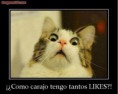 /album/jajaja/tantos-likes-facebook-jpg/