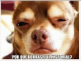 /album/jajaja/borrastes-el-historial-jpg/